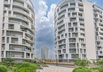 Lux @ Ellipse Galelileo