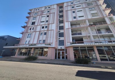 Urban Elephant The Rose