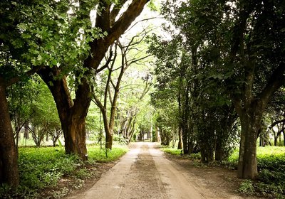 The Roaming Goat Guesthouse