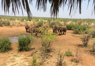 Limpopo River Lodge