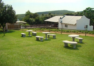 Mulberry Lane on the Africa Silks Farm