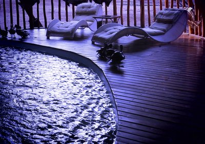 Mana Pools Safari Lodge