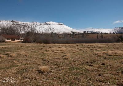 Lowestoffe Country Lodge - Rockford Lodge