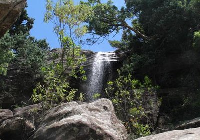 Little Switzerland Resort