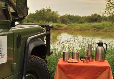 Black Rhino Game Lodge