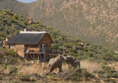 Aquila Private Game Reserve & Spa