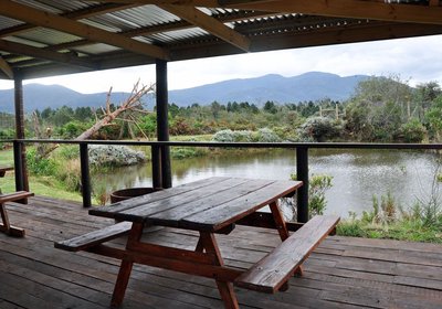 Enjoy breakfast overlooking the cheetahs