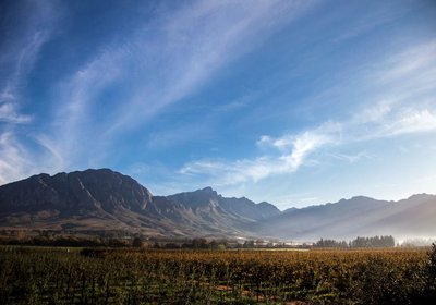 Lady Red farm cottage