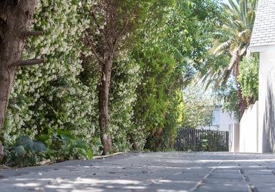 Allegro Guest House - Bloemfontein