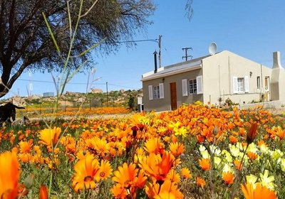 Kamieskroon Cosy Cottages