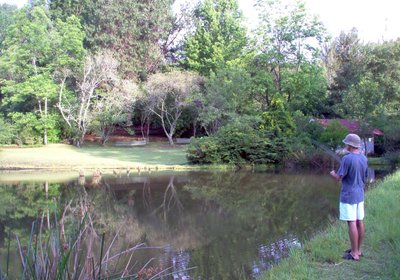 Cheerio Trout Fishing and Holiday Resort