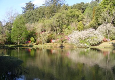 Cheerio Trout Fishing and Holiday Resort