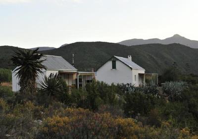 Matjiesvlei Guest Farm