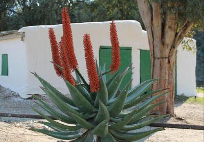 Matjiesvlei Guest Farm