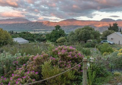Cederkloof Botanical Retreat