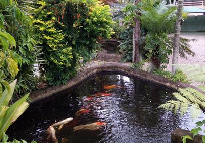 African Ambience Guesthouse