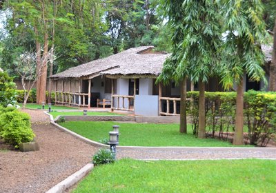 Honey Badger Lodge, Safaris and Mountain Climbing