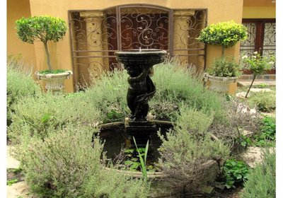 Lemontree Self-catering Apartments