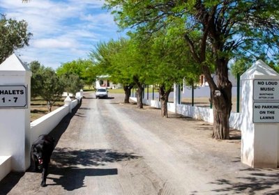 Olive Grove Guest Farm