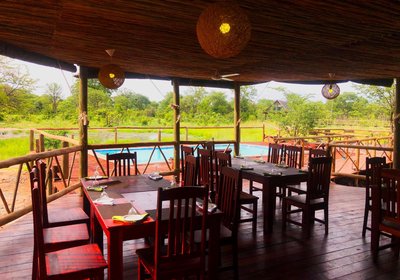 Chobe Mopani Forest Lodge