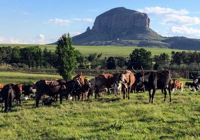 Riverview Country Inn