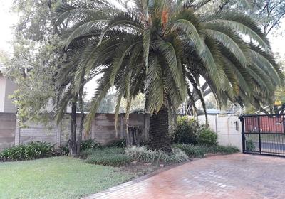 8 Ibis Lane Guest House