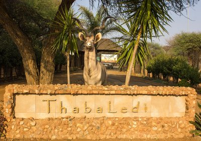 Thabaledi Game Lodge