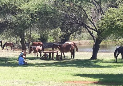 Thandile Country Lodge