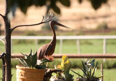 Morning Glory Cottages