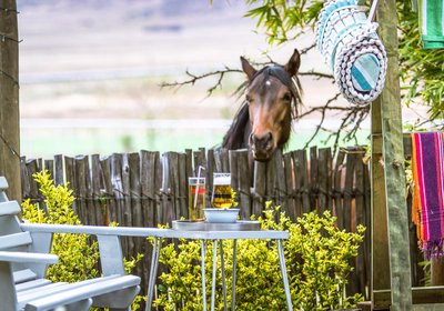 Morning Glory Cottages