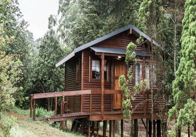 Mountain Fly Fishing