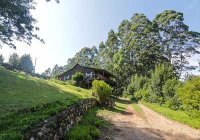 Mountain Fly Fishing