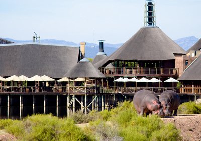 Buffelsdrift Game Lodge
