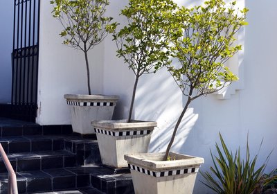 96 on Bree Guesthouse