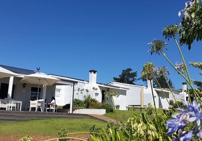 Paul Wallace Wines and Guest Cottages