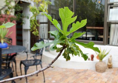 John Bauer Pottery Studio