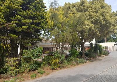 Sir Roy's Guest House