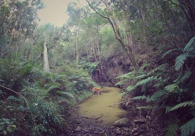 Woodlands Self-catering