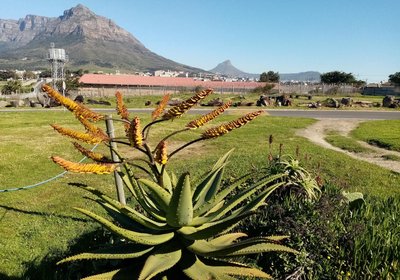 Lighthouse Farm Lodge & Backpackers