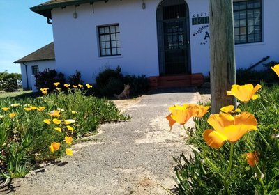 Lighthouse Farm Lodge & Backpackers