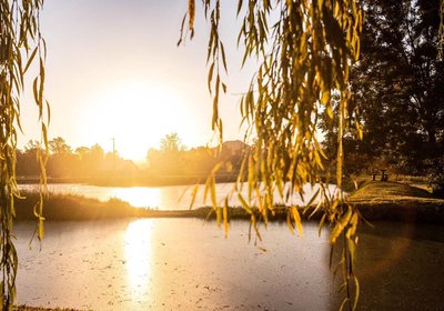 WintertonCountryLodge