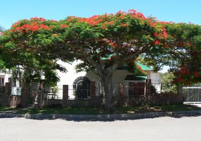 Aloha Bed & Breakfast / Self-catering