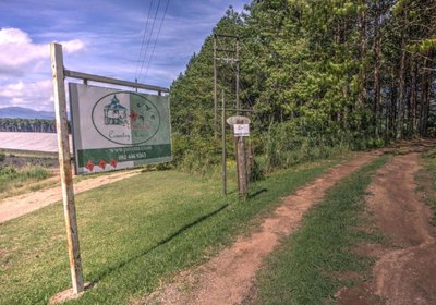 Pavetta Country House