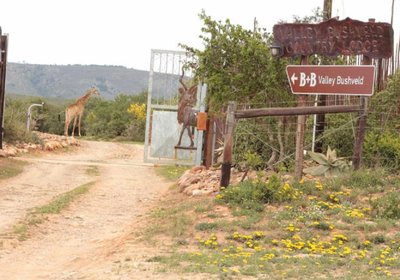 Valley Bushveld Country Lodge