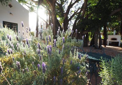 Tanagra Private Cellar