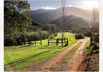 Pat Busch Mountain Reserve