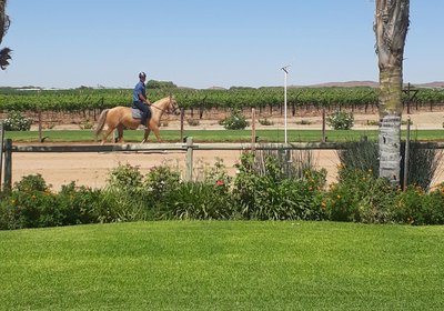 Augrabies De Oude Stoor Guesthouse