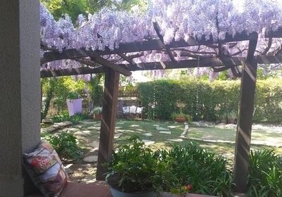 Top House Bed & Breakfast