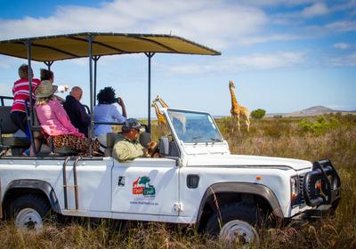 Thali Thali Game Lodge