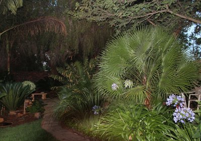 Fourie Street 199 Bed and Breakfast